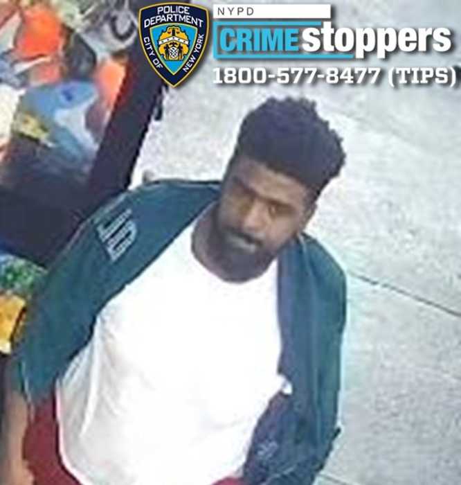 suspect in bronx baseball bat attack
