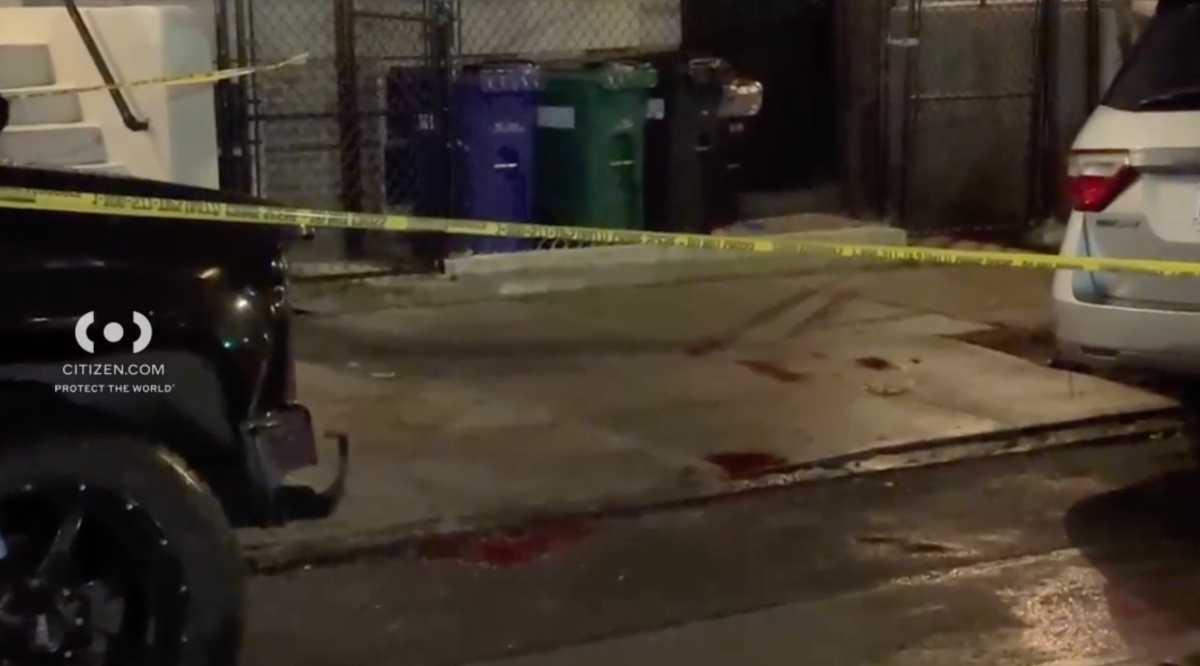 Puddles of blood on the ground on Bronx street where man was stabbed dead