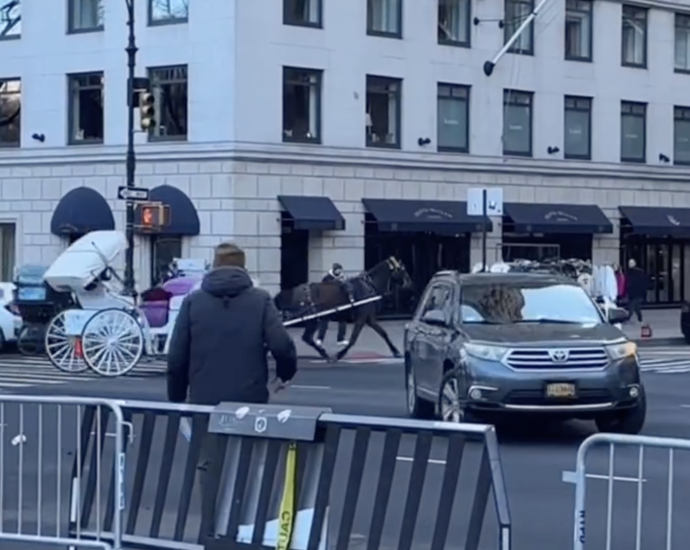 runaway carriage horse traveling through Midtown traffic