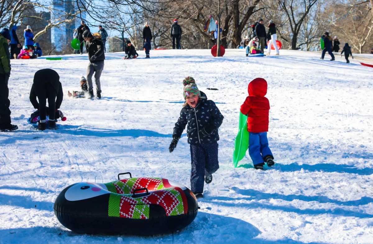 kids in NYC sledding