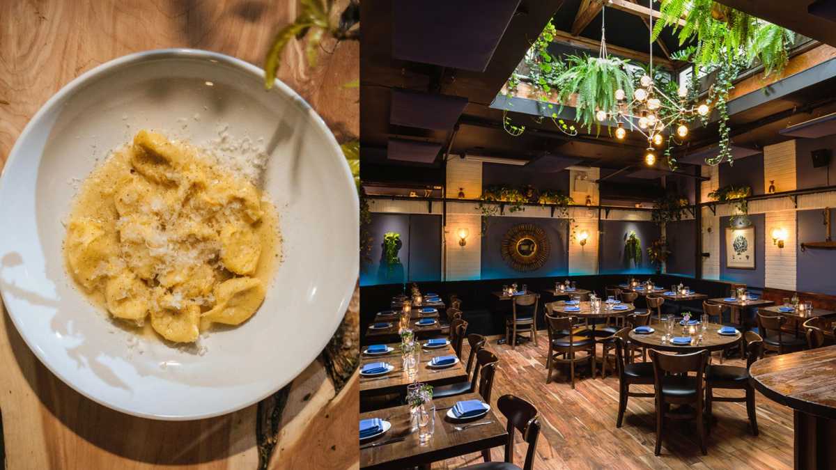 left: a bowl of pasta. right: the Alice dining room filled with set tables and chairs.
