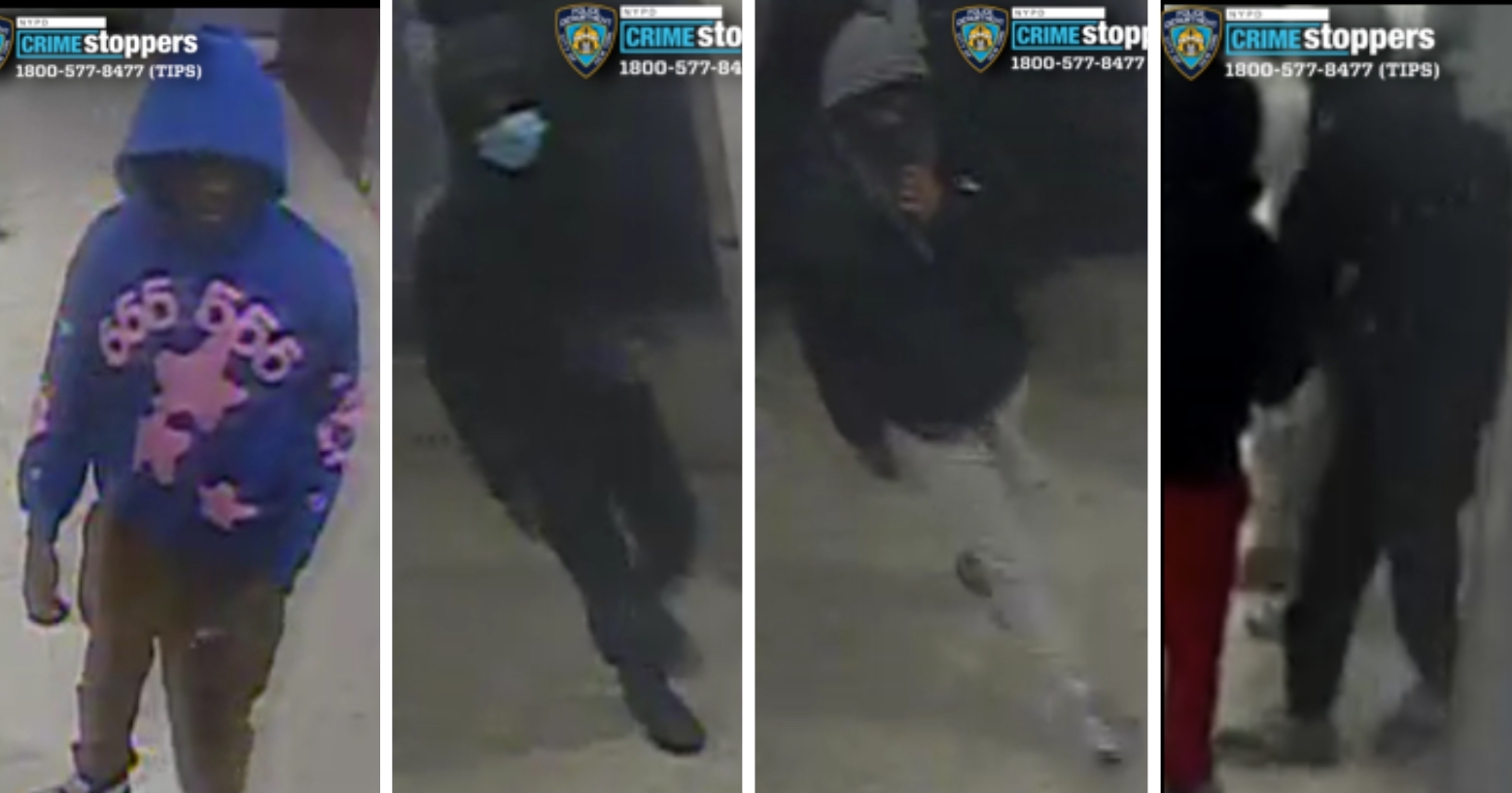 Brooklyn muggers suspected of robbing teen