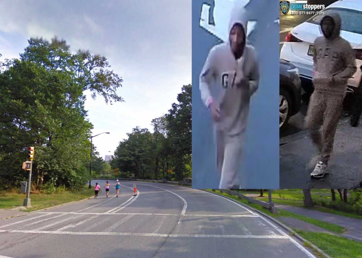 suspect in central park assault
