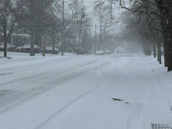 Some NYC transit disrupted by snow, MTA urges riders to avoid unnecessary travel 2 a snowy tree-lined street