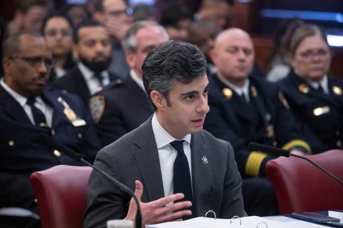 Alex Crohn, NYPD Deputy Commissioner of Strategic Initiatives, testifies at the City Council oversight hearing on Code Blue operations.