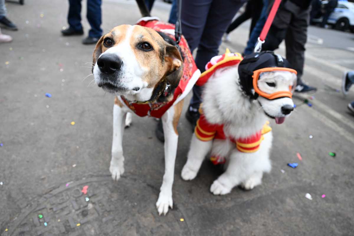 PHOTOS: Chinatown lights up the Lunar New Year with annual firecracker ceremony 15