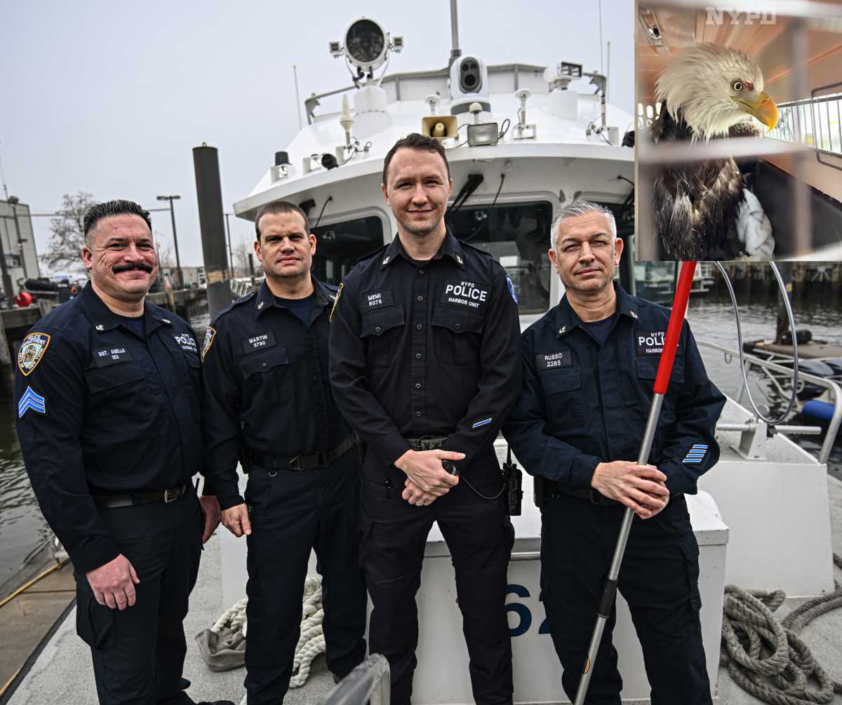 An all-American rescue: How the NYPD Harbor Unit saved a bald eagle injured in the Hudson River | amNewYork