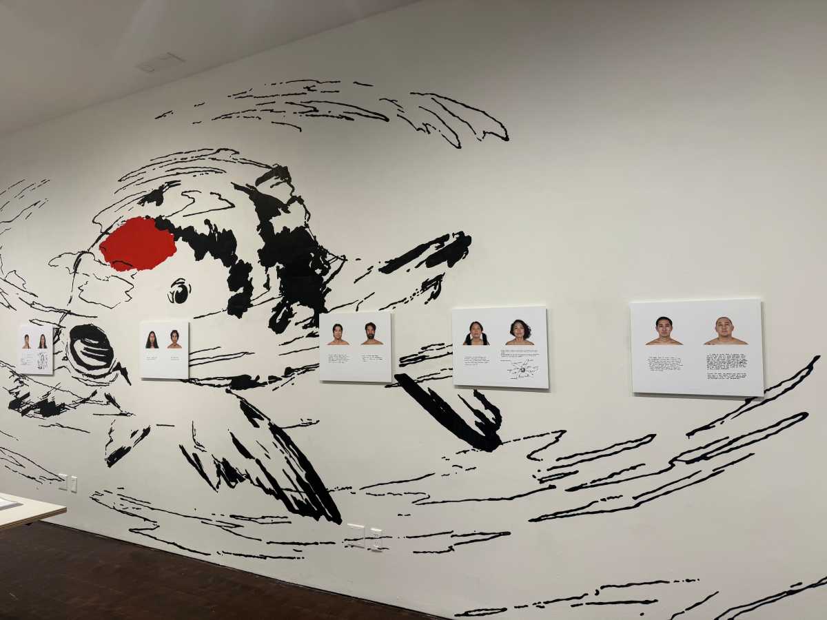 25 Years of the Hapa Project is on display in Chinatown.