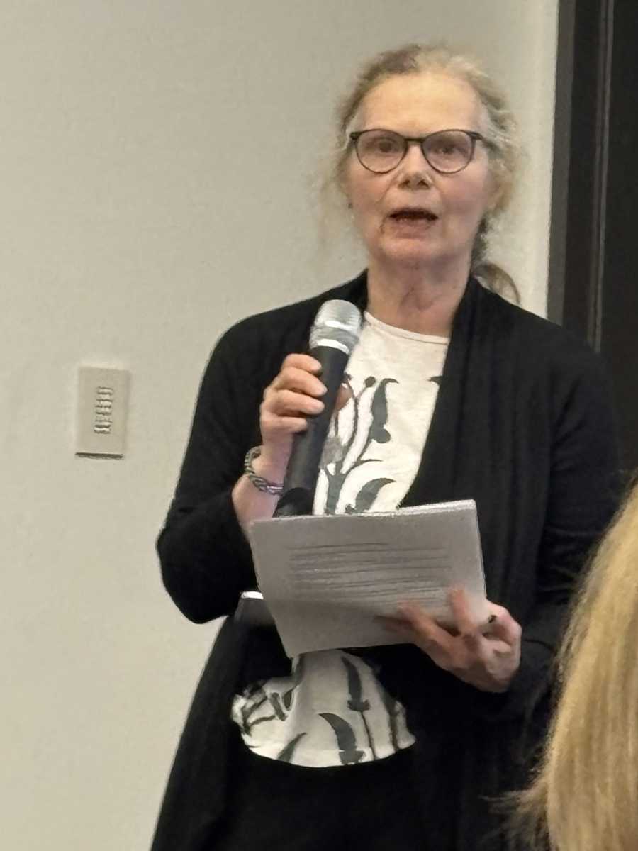 community board member speaks against building plan in NoHo landmark district