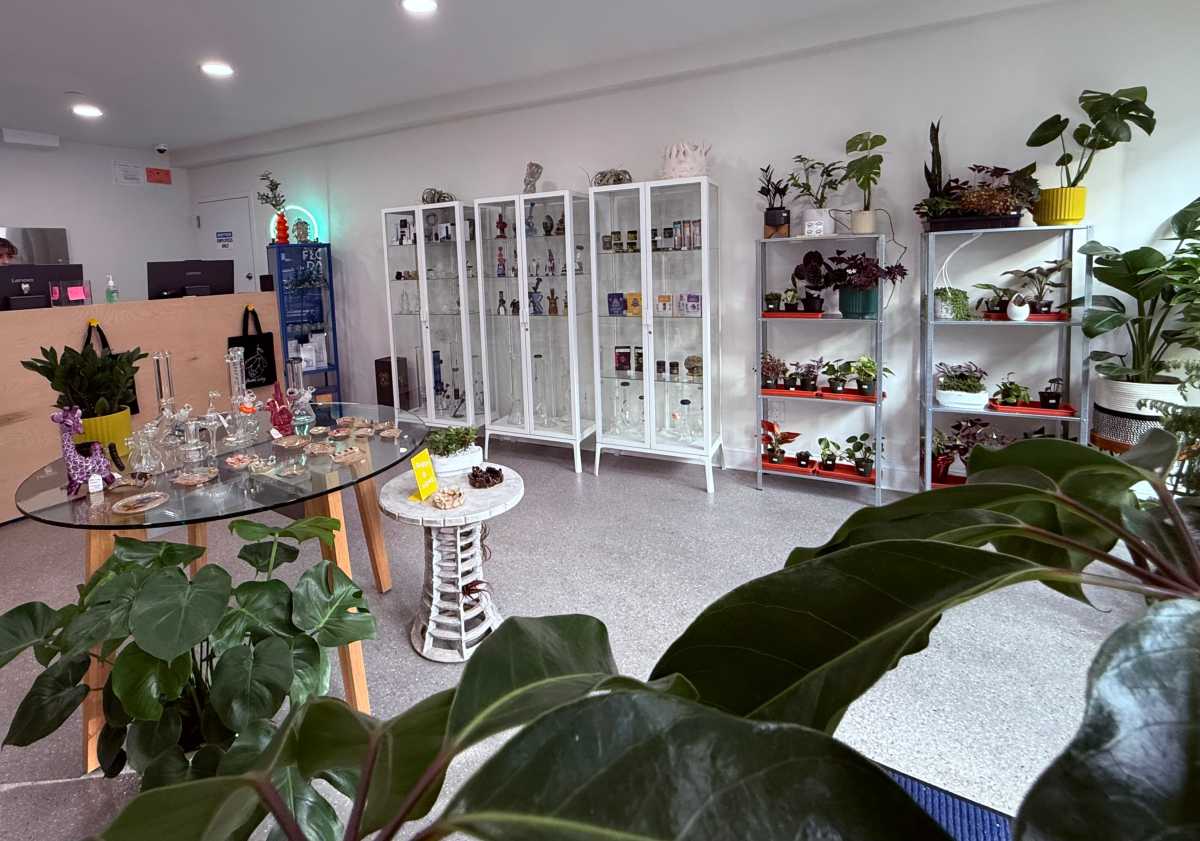 The interior of Flower Daddy.