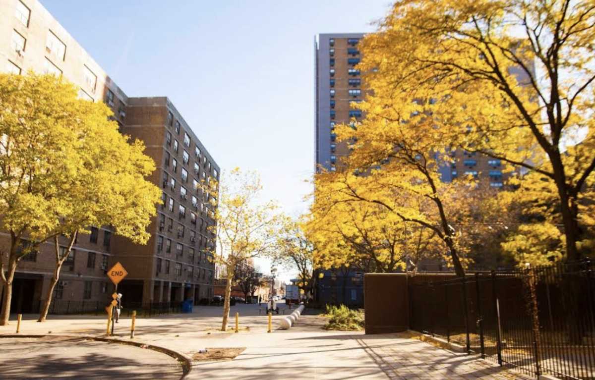 Campos Plaza II is getting renovations