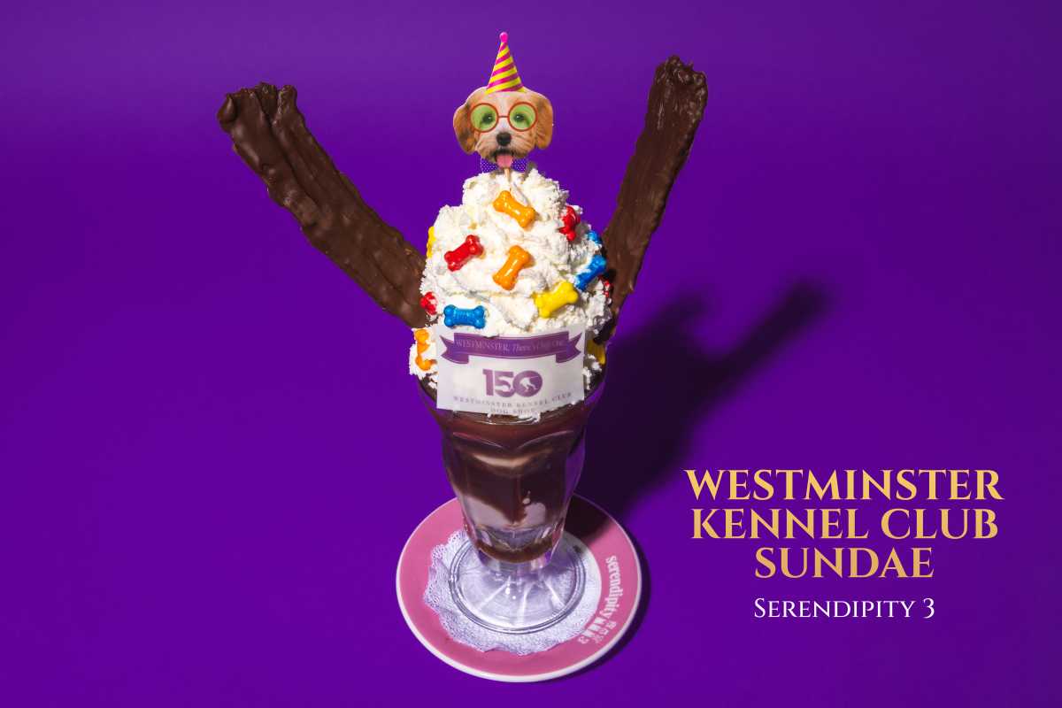 Serendipity 3's Westminster Kennel Club Sundae