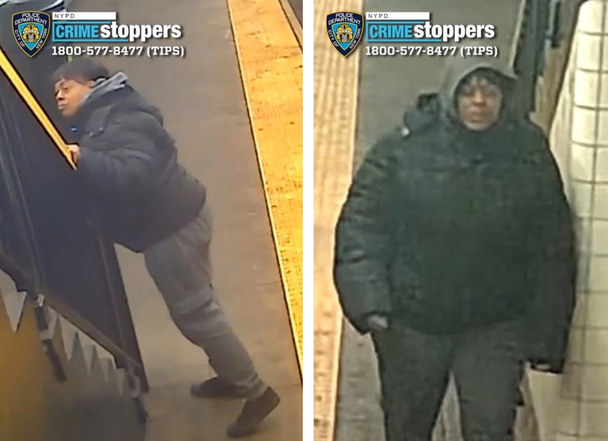 suspect sought for brooklyn shove attack