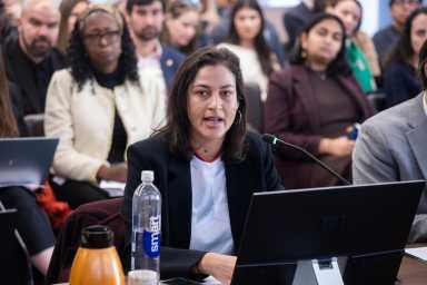 World Cup Czar Maya Handa testifies at City Council hearing on the city's preparedness