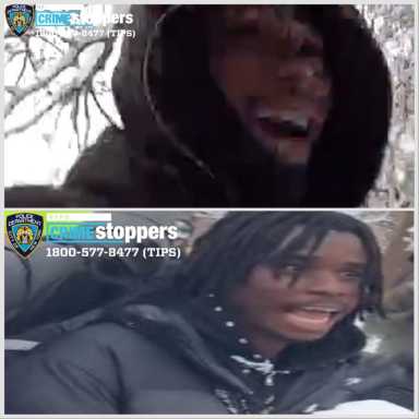 two individuals sought for snowball assault on NYPD officers in Washington Square Park