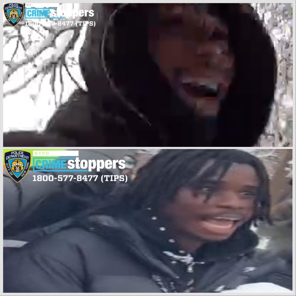 two individuals sought for snowball assault on NYPD officers in Washington Square Park