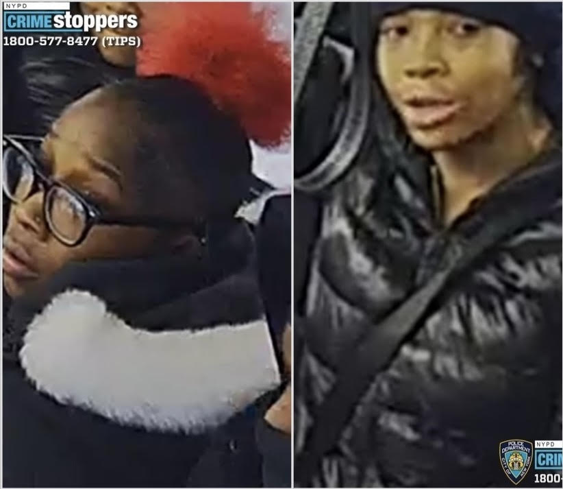 suspects in Brooklyn bus attack on senior