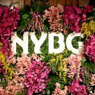 The Orchid Dinner: A gilded reverie in bloom for the New York Botanical Garden at Plaza Hotel 17 A view of atmosphere as The New York Botanical Garden hosts The Orchid Dinner at The Plaza Hotel on February 26, 2026 in New York City.