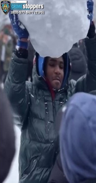 Suspect in Washington Square Park snowball attack on cops