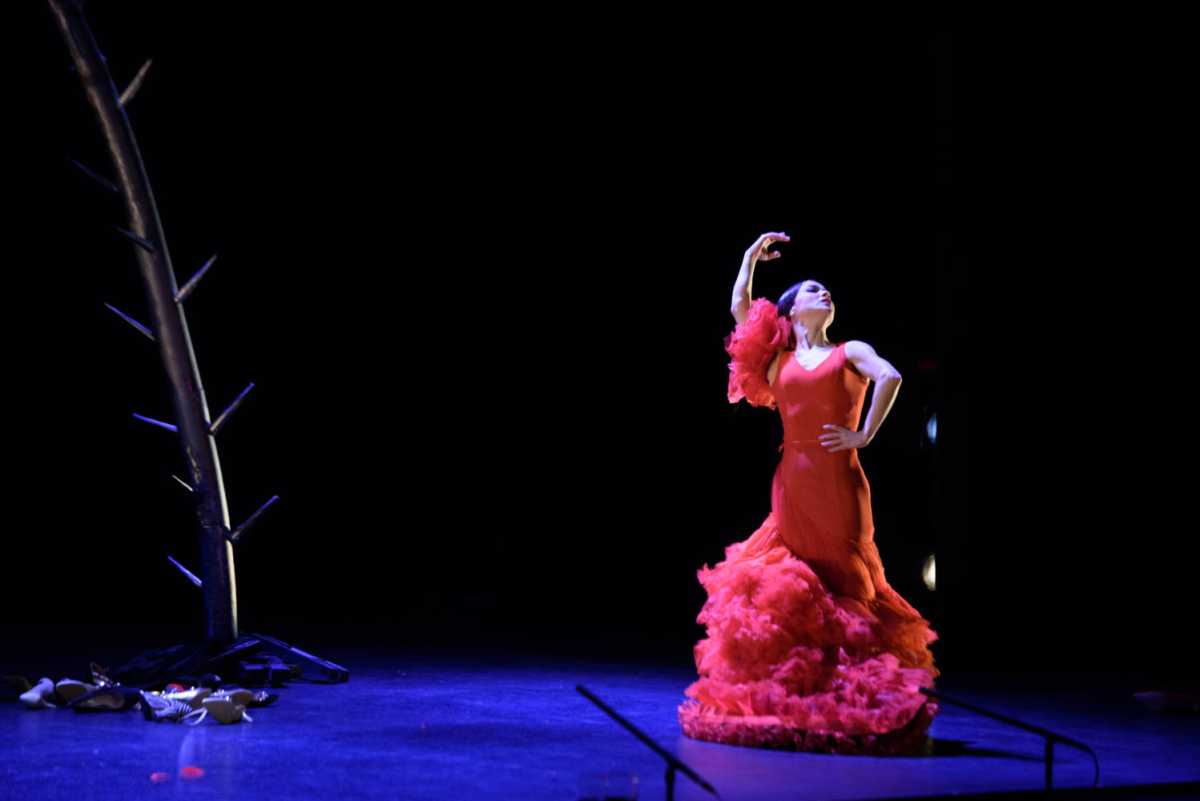 The New York Flamenco Festival celebrates 25 years by honoring flamenco’s pioneers 4